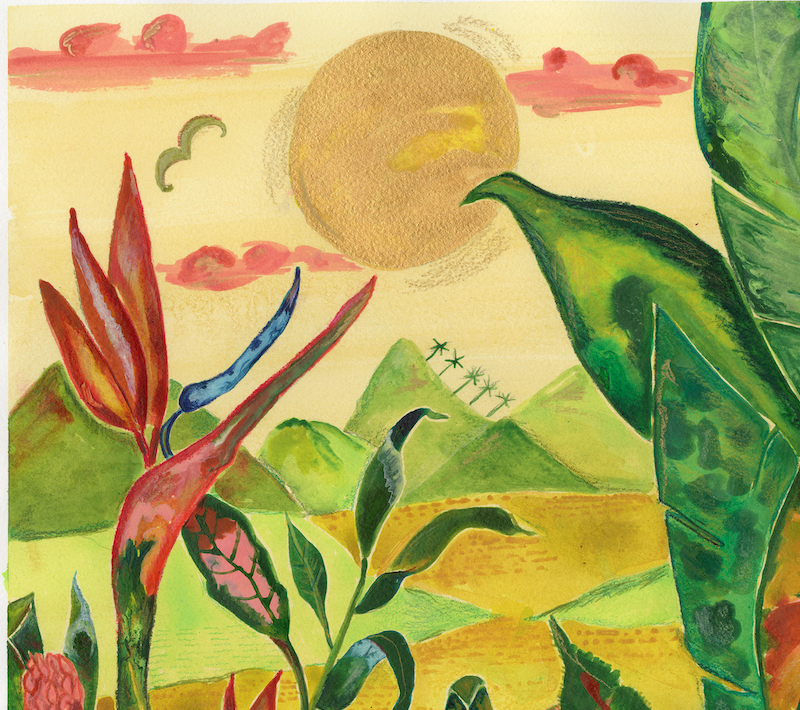 Where the Heliconia Grow – Tropical Botanical Art Print
