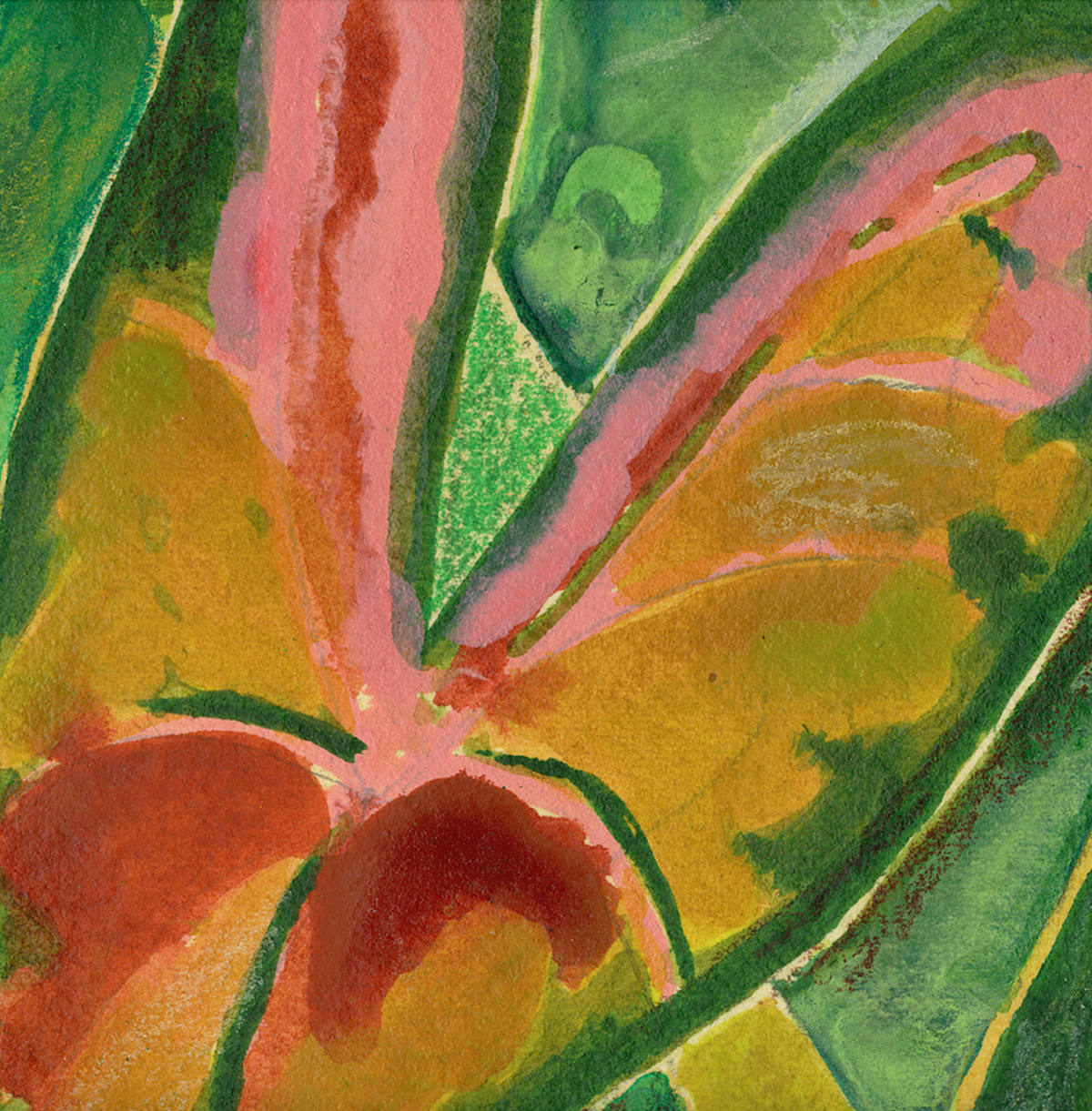 Where the Heliconia Grow – Tropical Botanical Art Print