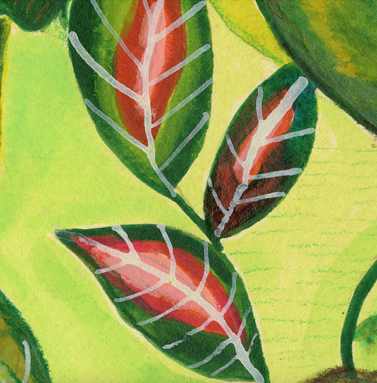 Where the Heliconia Grow – Tropical Botanical Art Print